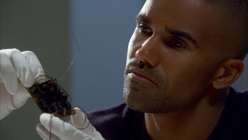 Criminal Minds